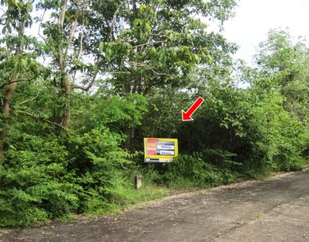 Empty land, Lanna Nakorn Country Park project, Lamphun