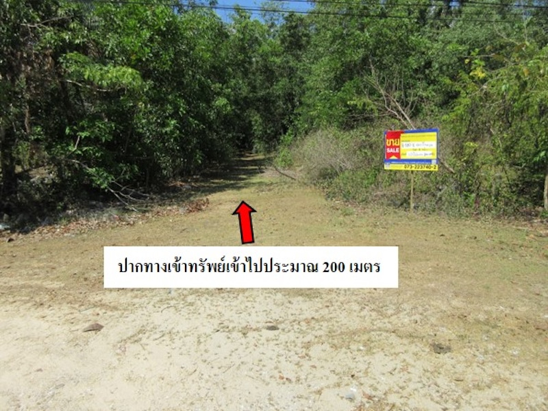 1-Plots of Vacant Land