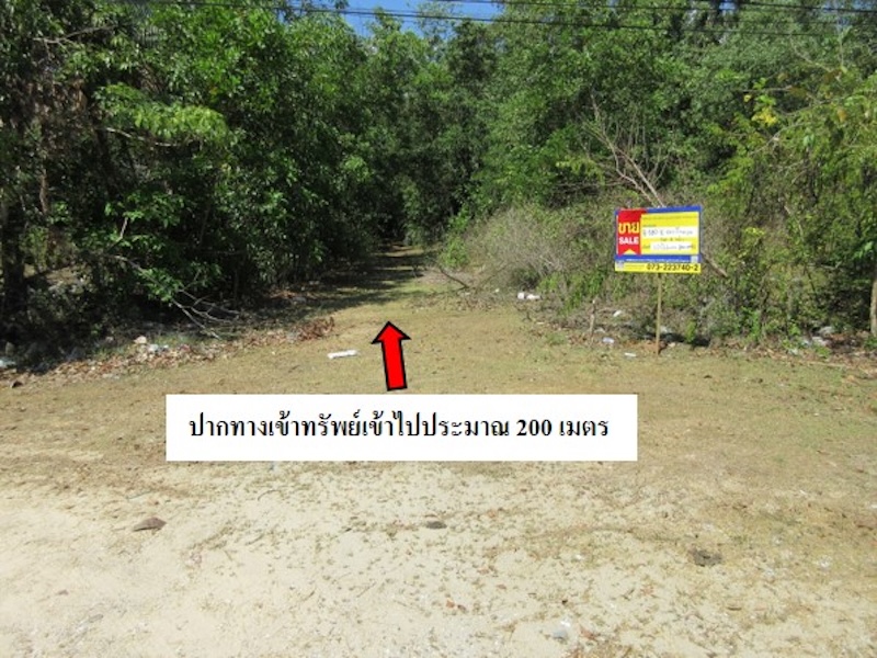 1-Plots of Vacant Land