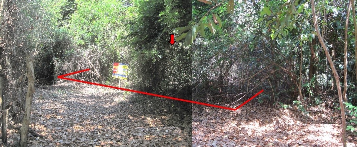 1-Plots of Vacant Land