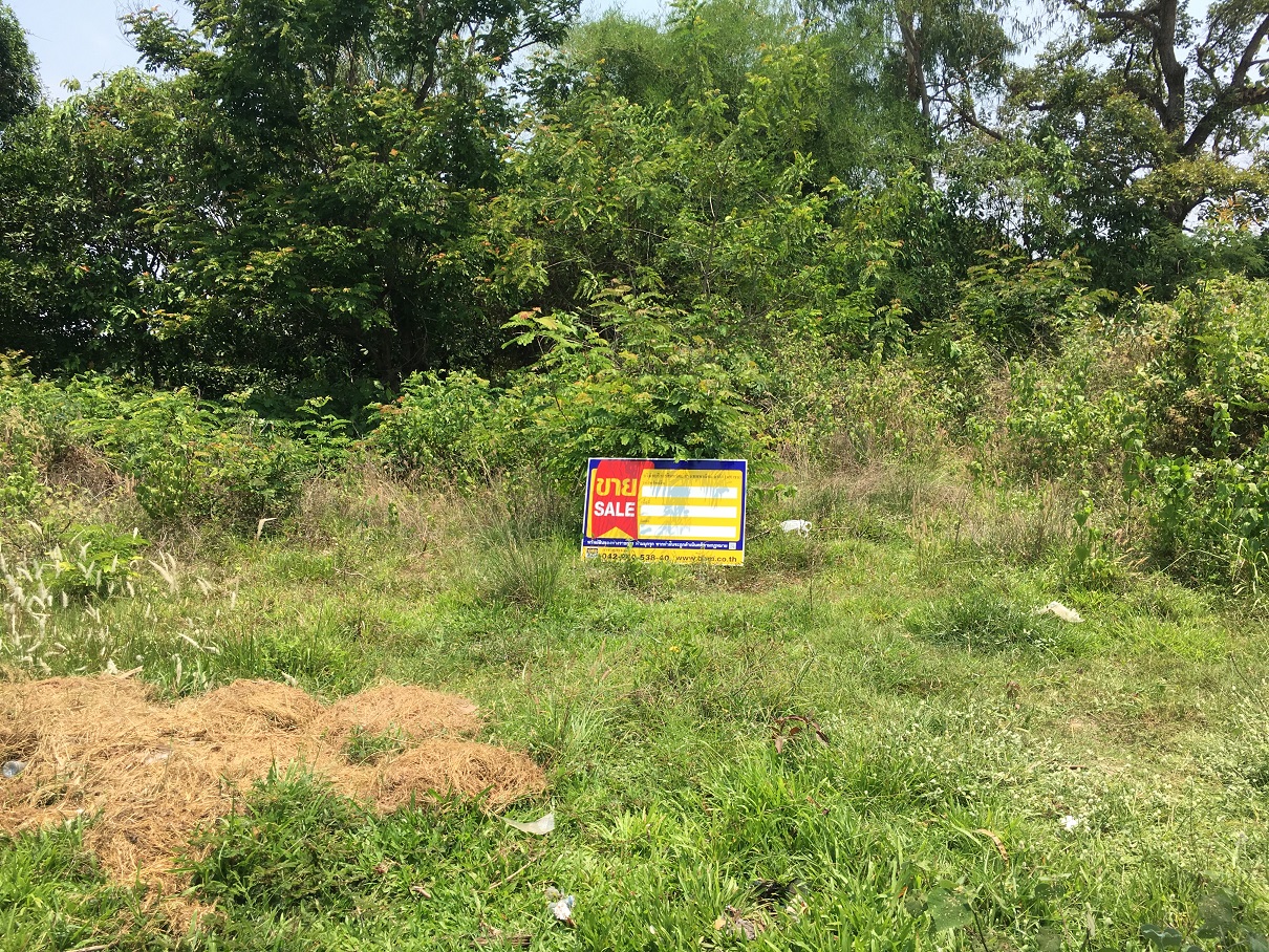 Empty land for sale in Sakon Nakhon province.