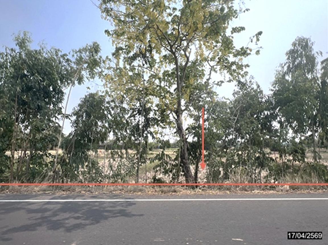 Empty land for sale in Nong Ruea, Khon Kaen