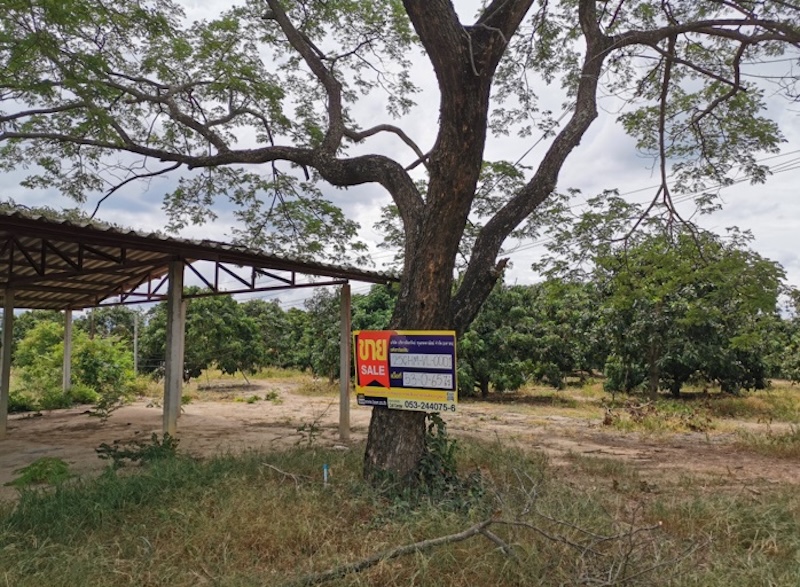 ที่ดินเปล่า โครงการบ้านหนองห่าย เชียงใหม่