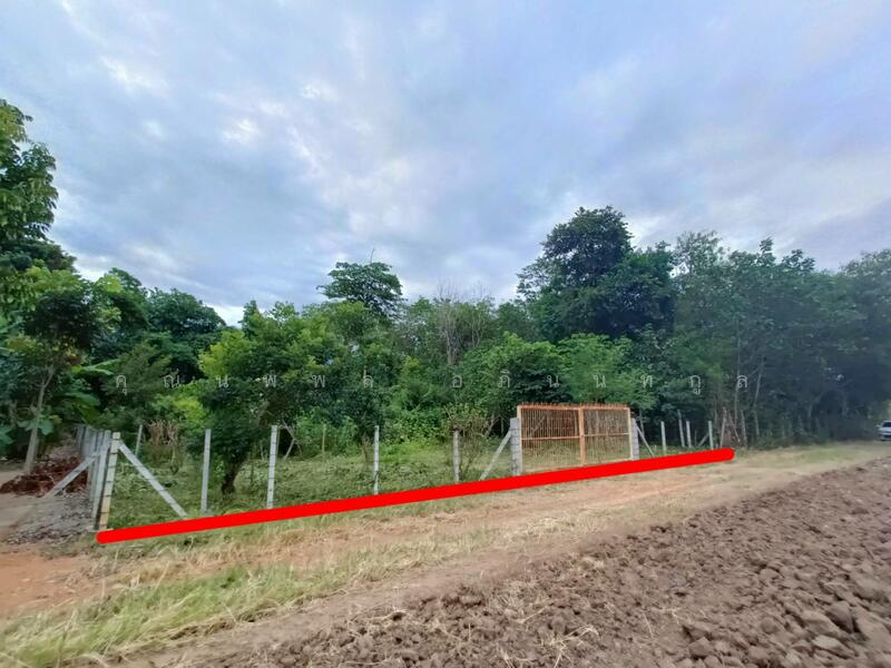 Land for sale 1Rai Khlong Muang, Pak Chong, Khaoyai, Nakhon Ratchasima, Nakhon Ratchasima