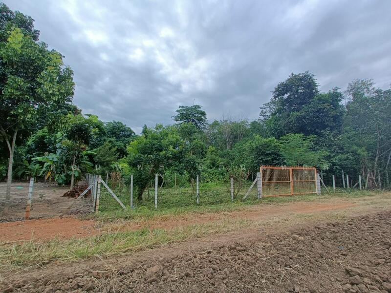 Land for sale 1Rai Khlong Muang, Pak Chong, Khaoyai, Nakhon Ratchasima, Nakhon Ratchasima