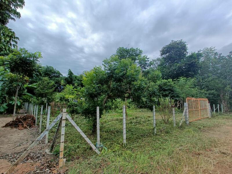 Land for sale 1Rai Khlong Muang, Pak Chong, Khaoyai, Nakhon Ratchasima, Nakhon Ratchasima