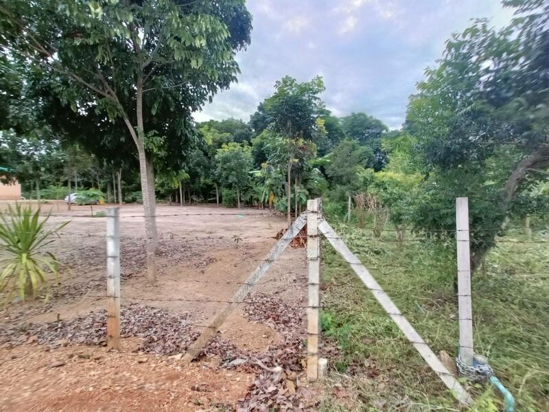 Land for sale 1Rai Khlong Muang, Pak Chong, Khaoyai, Nakhon Ratchasima, Nakhon Ratchasima