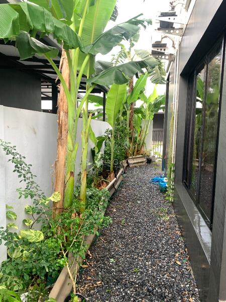 Khlong Thanon, Bangkok