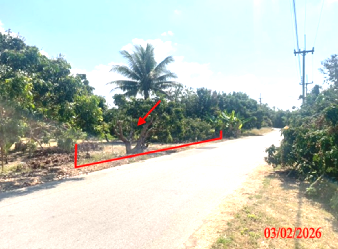 Vacant Land, Viang Nong Lom, Lamphun