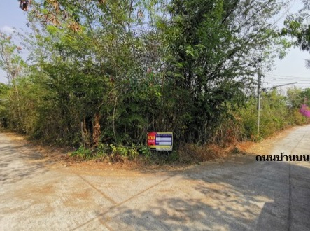 Empty Land in Chiang Mai
