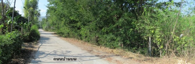 ที่ดินเปล่า เชียงใหม่