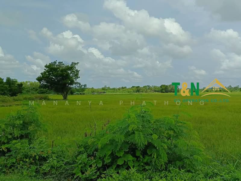 ที่ดินเปล่า 25-0-30 ไร่ บ้านโพธิ์ 8 ริ้ว ฉะเชิงเทรา, Chachoengsao