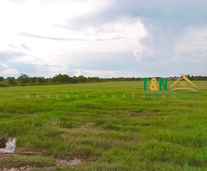 ที่ดินเปล่า 25-0-30 ไร่ บ้านโพธิ์ 8 ริ้ว ฉะเชิงเทรา, Chachoengsao