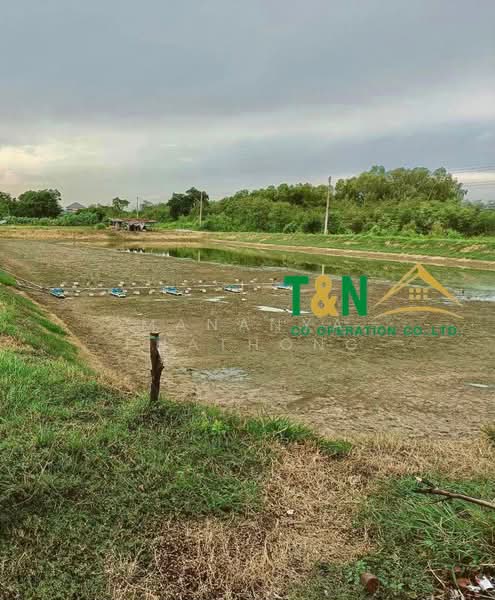 ที่ดินเปล่า 25-0-30 ไร่ บ้านโพธิ์ 8 ริ้ว ฉะเชิงเทรา, Chachoengsao