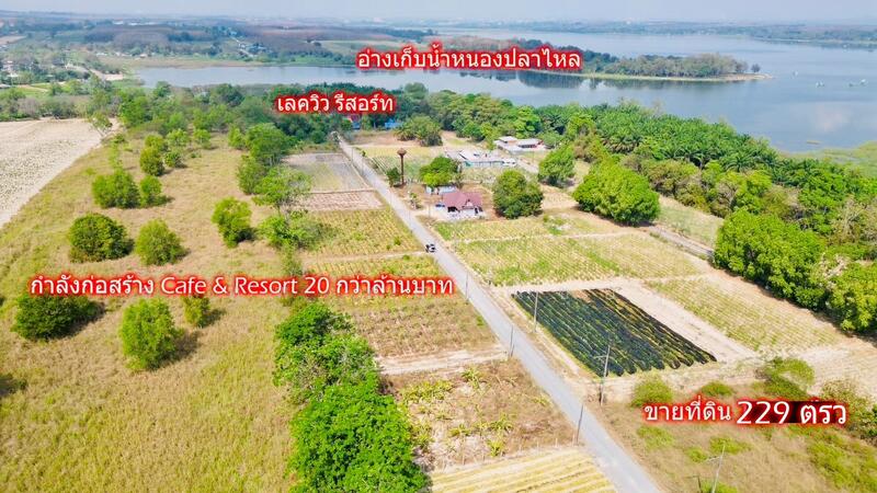 Land for Sale 229 sq.wah near a resort and Nong Pla Lai Reservoir, Mae Nam Khu, Pluak Daeng, Rayong, Rayong