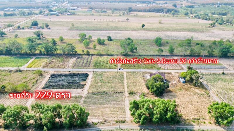 Land for Sale 229 sq.wah near a resort and Nong Pla Lai Reservoir, Mae Nam Khu, Pluak Daeng, Rayong, Rayong