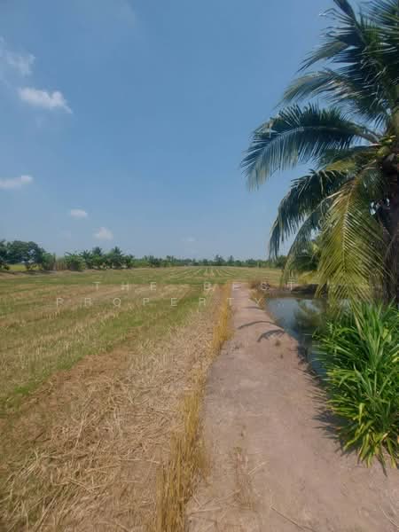 ที่ดินบางเลน นครปฐม, Nakhon Pathom