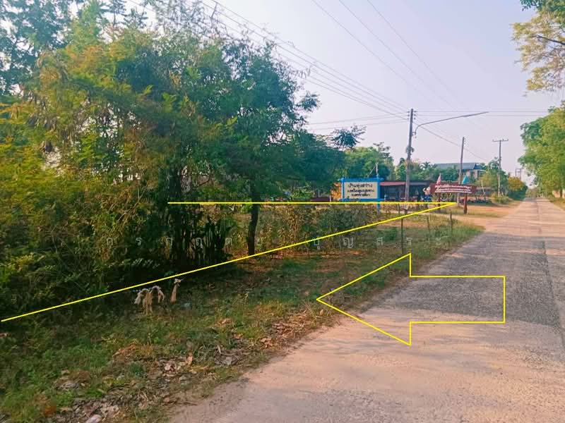 ที่ดิน 3-3-63 ไร่ (1,563 ตารางวา) แปลงมุม อำเภอชุมพวง นครราชสีมา, Nakhon Ratchasima