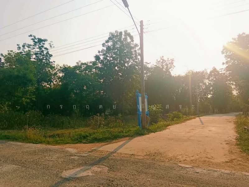 ที่ดิน 3-3-63 ไร่ (1,563 ตารางวา) แปลงมุม อำเภอชุมพวง นครราชสีมา, Nakhon Ratchasima