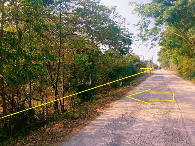 ที่ดิน 3-3-63 ไร่ (1,563 ตารางวา) แปลงมุม อำเภอชุมพวง นครราชสีมา, Nakhon Ratchasima