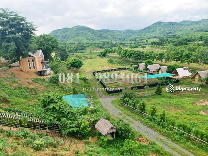 ขายที่ดินเพชรบูรณ์ วิวทิวเขา, Phetchabun