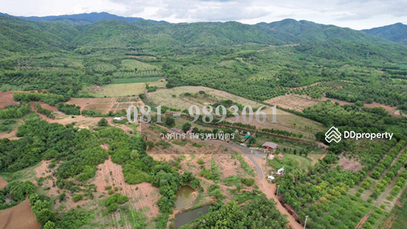 ขายที่ดินเพชรบูรณ์ วิวทิวเขา, Phetchabun