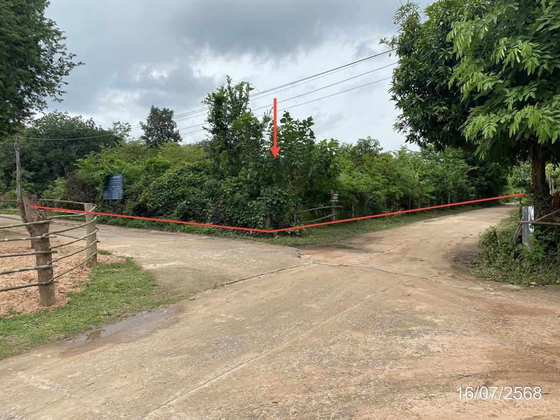 Vacant Land in Nong Kung Si, Kalasin