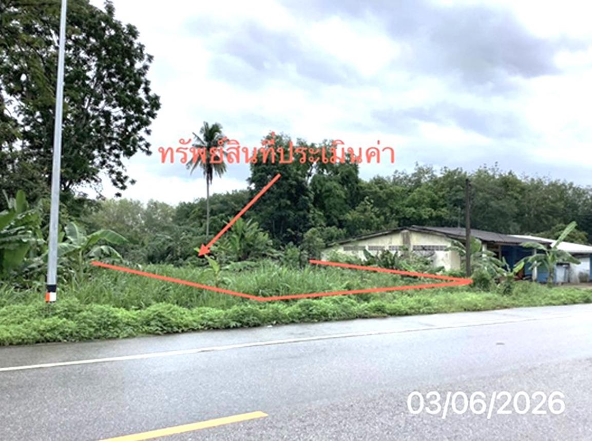 Empty Land for Sale in Paklen, Trang Province