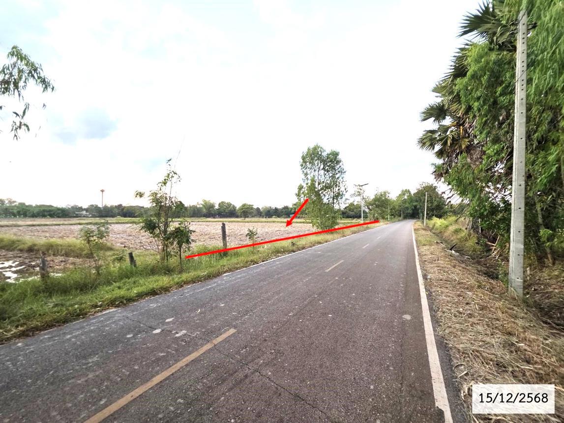 Vacant land, barren land Sakon Nakhon
