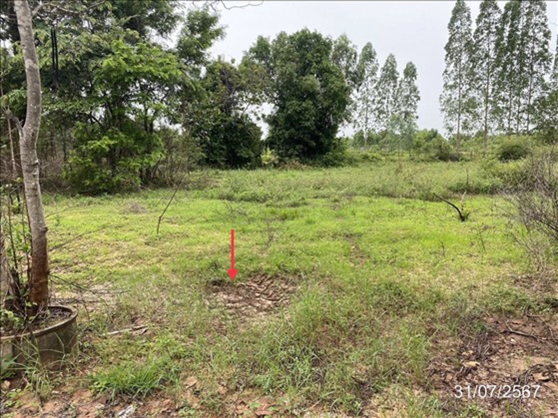 Vacant Land for Sale in Buri Buri, Maha Sarakham Province