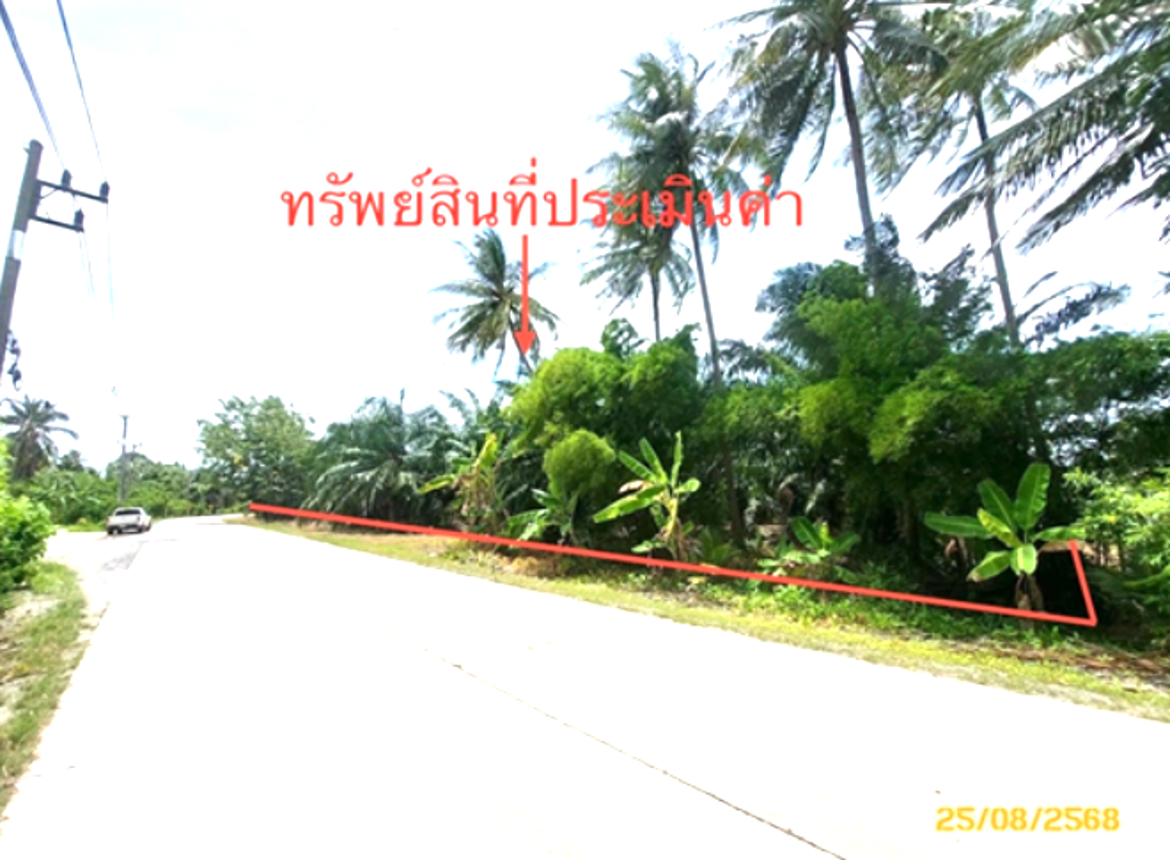 ที่ดินว่างเปล่า ดอนสัก สุราษฎร์ธานี