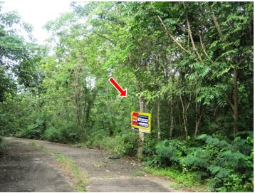 Empty land, Lanna Nakorn Country Park project, Lamphun