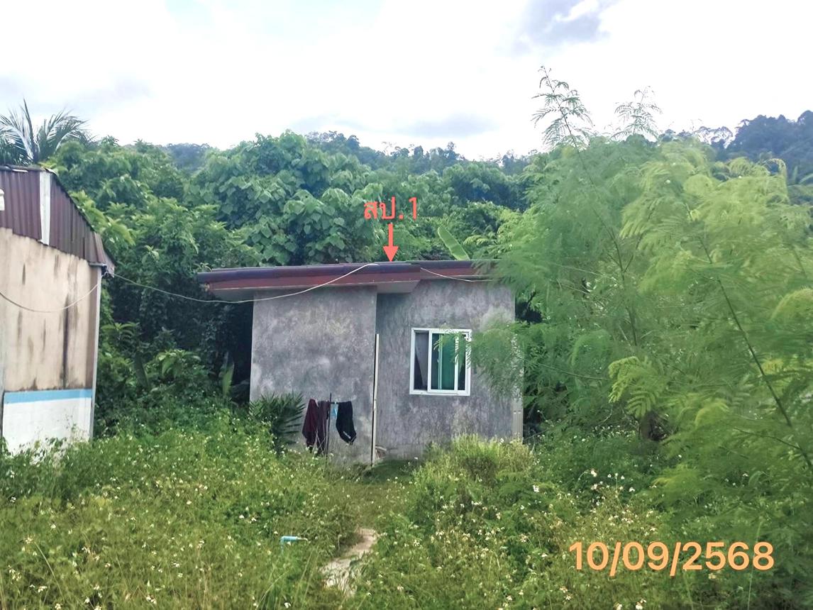 Single House in Krabi Province, Krabi