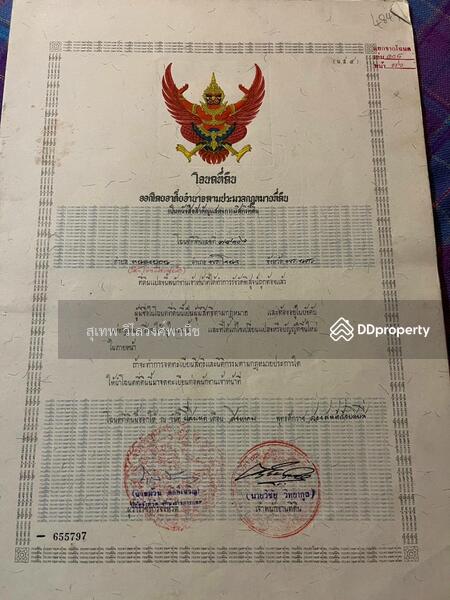 ขายที่ดิน ซอยเฉลิมพระเกียรติร 9 ซอย 22 แยก 12-1 เขตประเวศ, Bangkok