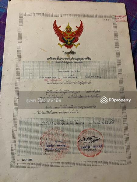 ขายที่ดิน ซอยเฉลิมพระเกียรติร 9 ซอย 22 แยก 12-1 เขตประเวศ, Bangkok