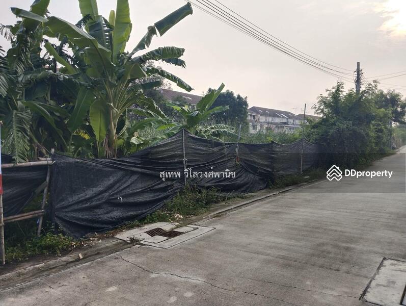 ขายที่ดิน ซอยเฉลิมพระเกียรติร 9 ซอย 22 แยก 12-1 เขตประเวศ, Bangkok