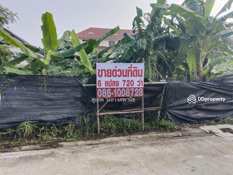 ขายที่ดิน ซอยเฉลิมพระเกียรติร 9 ซอย 22 แยก 12-1 เขตประเวศ, Bangkok