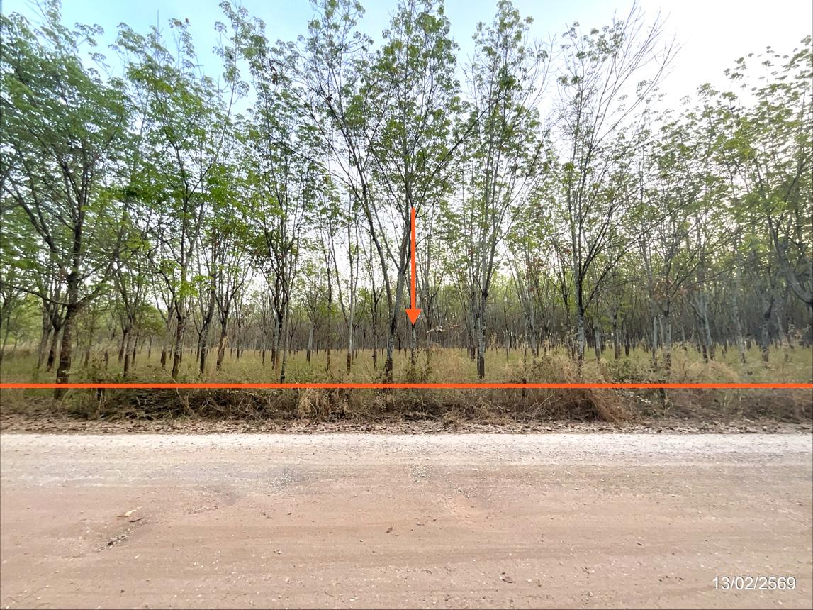 ที่ดินว่างเปล่า ศรีบุญเรือง หนองบัวลำภู