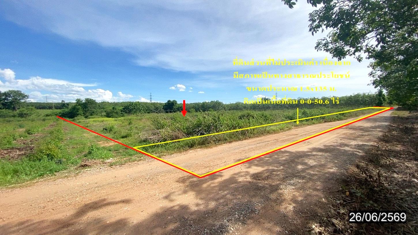 ที่ดินว่างเปล่า ศรีบุญเรือง หนองบัวลำภู