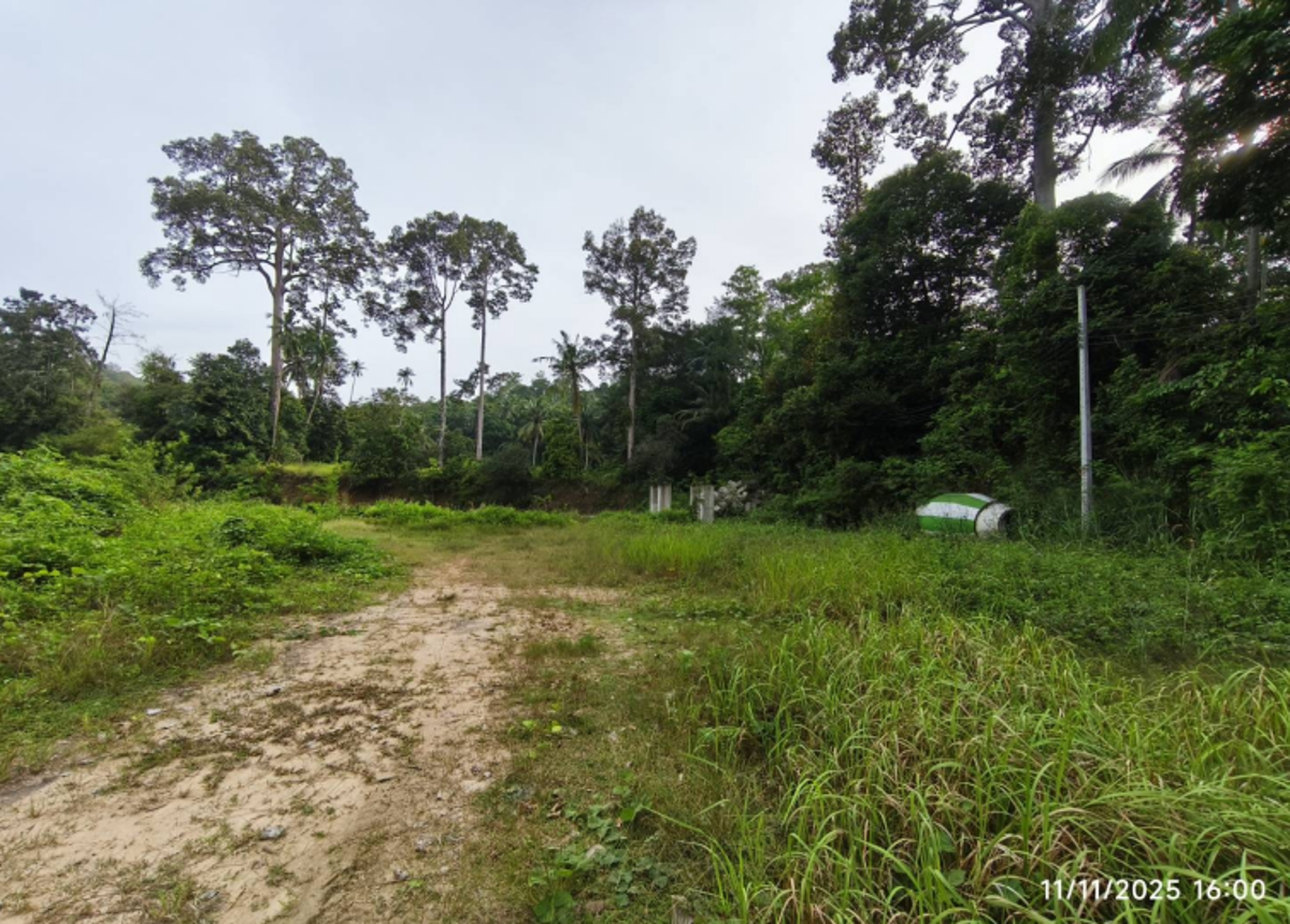 Vacant Land, Koh Samui, Surat Thani Province