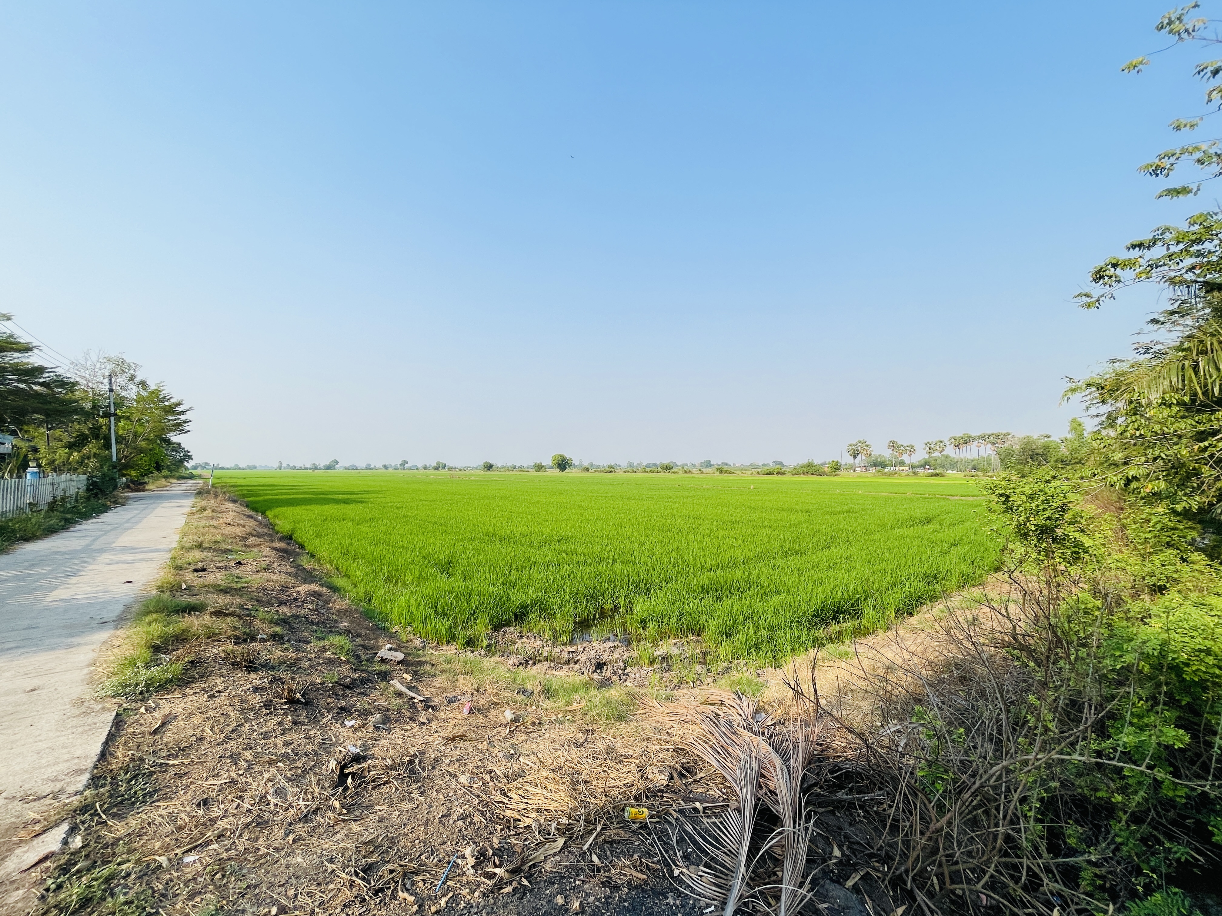 4-Plots of vacant land.