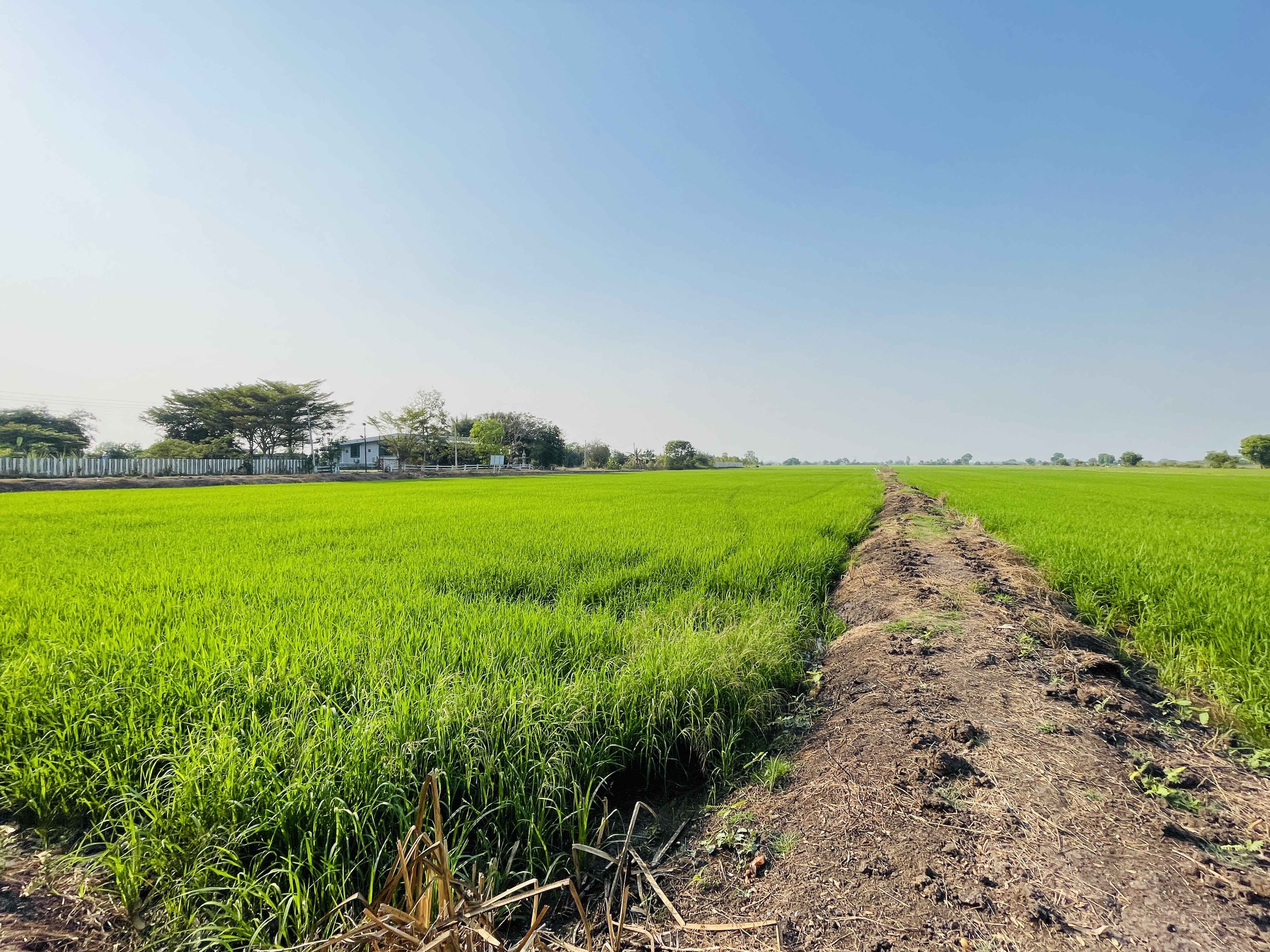 4-Plots of vacant land.