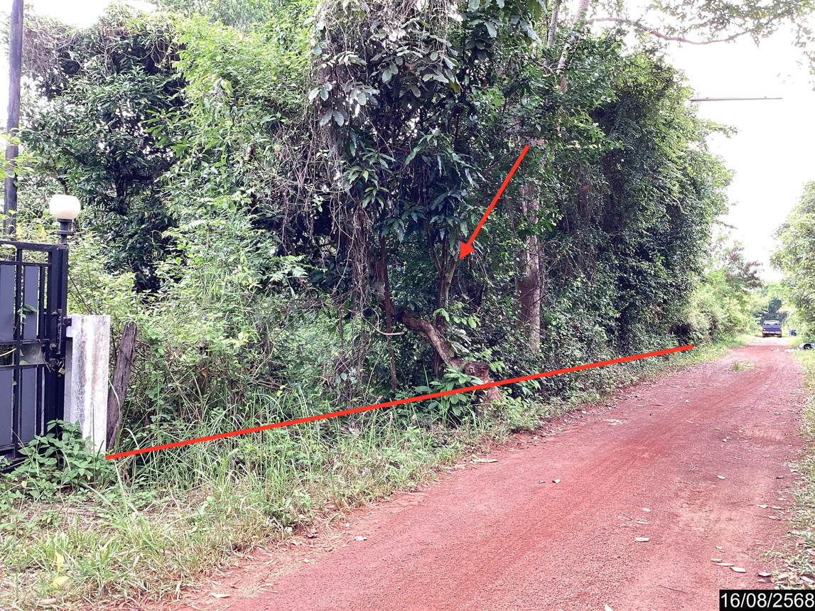 Vacant land, barren land Sakon Nakhon