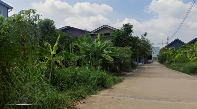 ที่ดินเปล่า 61 ตร.ว. ที่ดิน ซอยร่วมใจ1/2 ถนนรังสิต-ปทุมธานี, Pathum Thani