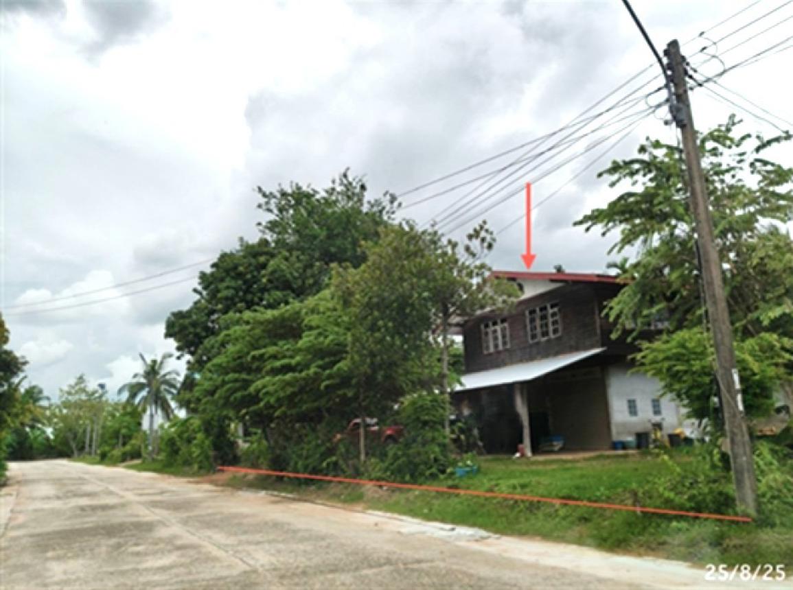บ้านเดี่ยว บัวเชด สุรินทร์