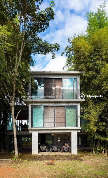 44100 – ขายที่ดินพร้อมบ้าน เชียงใหม-แม่อาย เนื้อที่ 7-1-62.90 ไร่, Chiang Mai