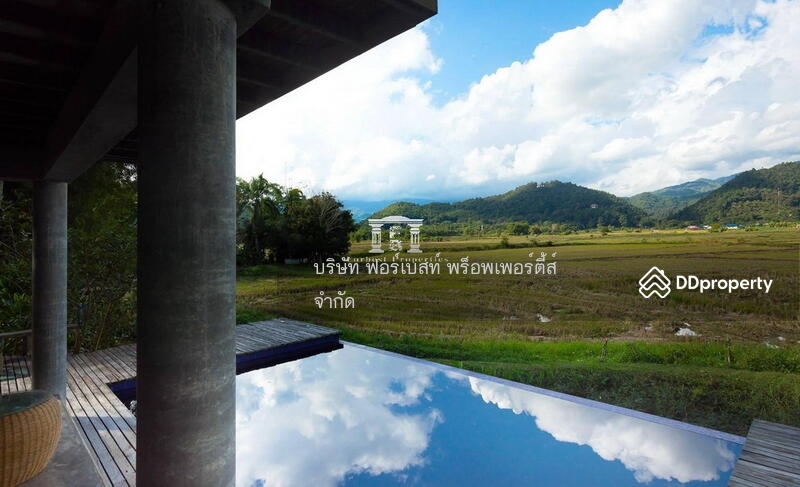 44100 – ขายที่ดินพร้อมบ้าน เชียงใหม-แม่อาย เนื้อที่ 7-1-62.90 ไร่, Chiang Mai