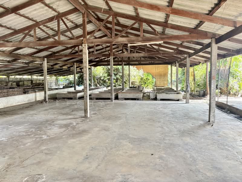 บ้านเดี่ยว 1 ไร่ กำแพงแสน, Nakhon Pathom
