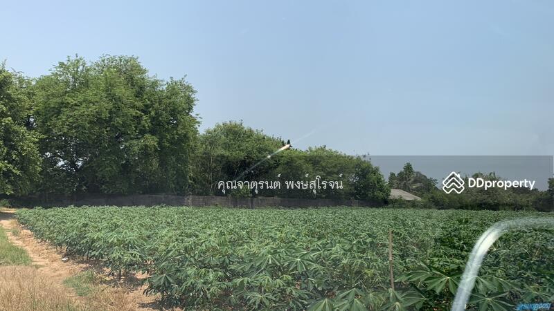 ซ.ชุมชนเขาน้อย 3 ต.สุรศักดิ์ อ.ศรีราชา จ.ชลบุรี (ศรีราชา-หนองค้อ ซอย 41) 20110, Chon Buri (Pattaya)