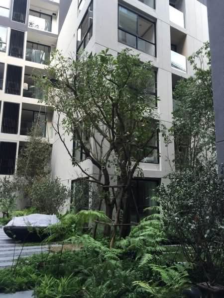 Liv @ 49, Bangkok